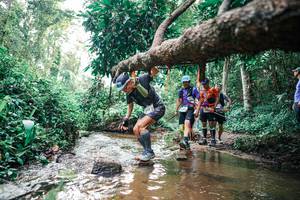 BIB: 
                            <button type="button" onclick="openModal(25369077)" class="btn btn-primary btn-sm float-right btn-popup" data-toggle="modal" data-target=".modal-high-quality">
                        <i class="fas fa-shopping-cart"></i> Add to Cart
                    </button>
                                            <button type="button" onclick="isThisMe(25369077, true)" class="btn btn-success btn-sm float-right btn-popup btn-isme hidden" data-toggle="tooltip" data-placement="bottom" title="นี่คือรูปของคุณใช่ไหม คลิกที่นี่เพื่อเอาเข้าอัลบั้ม">
                        <i class="fas fa-plus"></i> Add to album
                    </button>
                    <button type="button" onclick="isThisMe(25369077, false)" class="btn btn-warning btn-sm float-right btn-popup btn-isnotme hidden">
                        <i class="fas fa-ban"></i> Remove from album
                    </button>